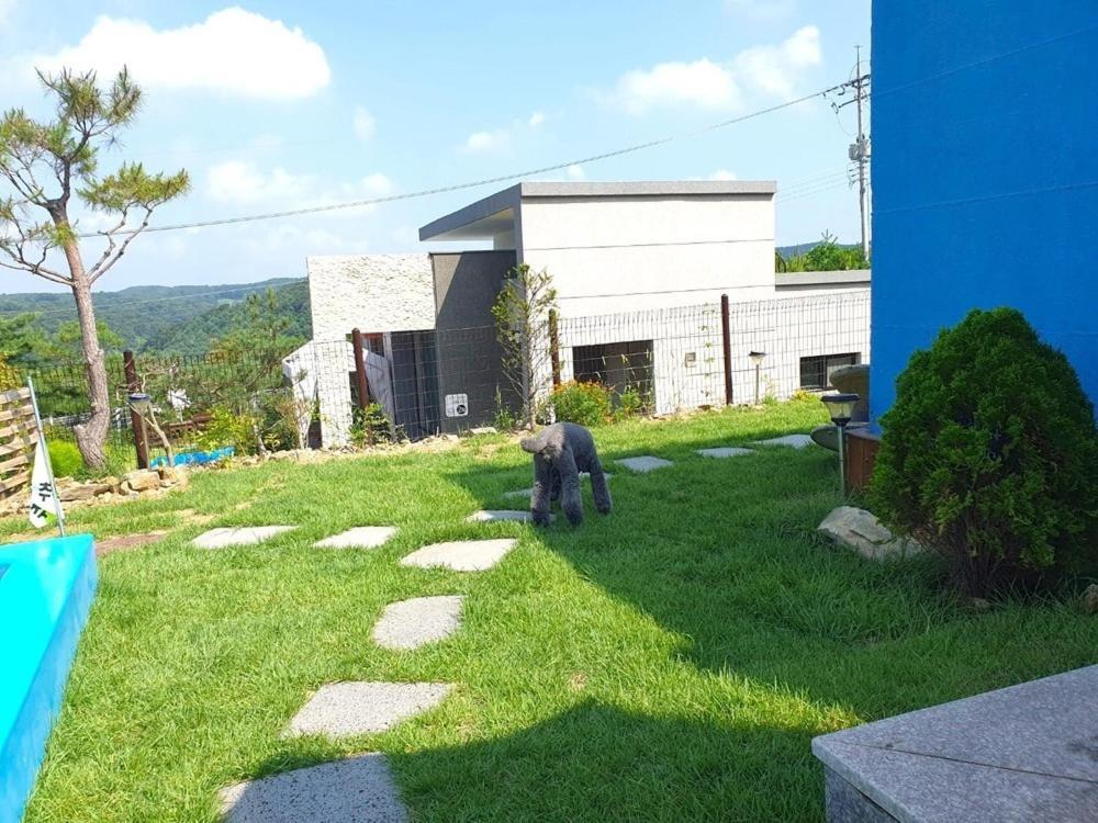 Yeoncheon Jjongi And Mary Pet Friendly Pension Vila Exterior foto